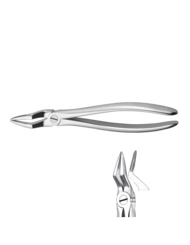 Forceps E51A para Raíces  Superiores
