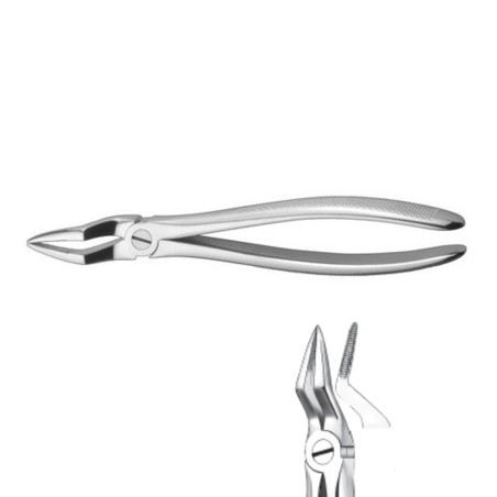 Forceps E51A para Raíces  Superiores