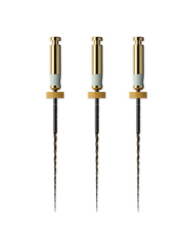 HyFlex EDM OGSF Glide Path Lima Niti 15/.03 L 21mm o 25mm 3uds Coltène