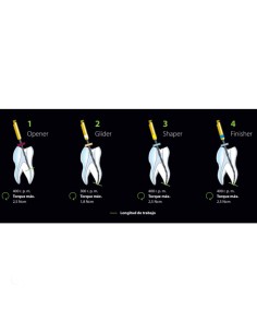 HyFlex EDM OGSF Secuencia Set 21mm o 25mm Conformado 4 unidades Coltène 2