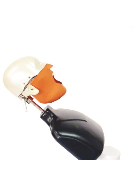 Unidad de Formación Dental