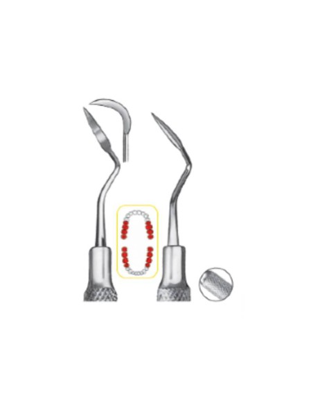 Scaler Raspador Crane-Kaplan CK6 Mango 8mm Carl Martin
