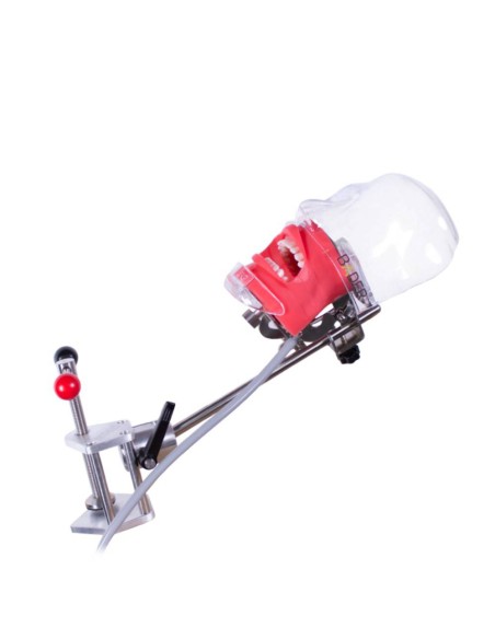 Fantoma Completo Simplicity con Tipodonto tipo Nissin Adulto y Anclaje a Sillón Bader