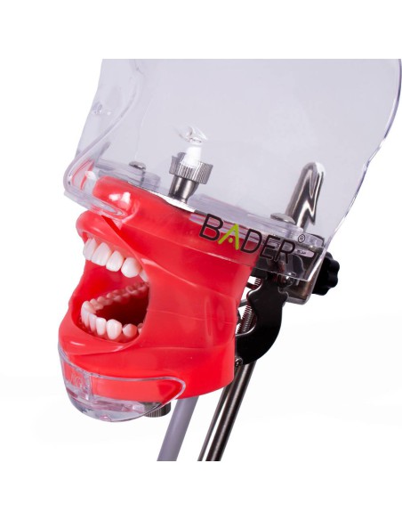 Fantoma Completo Simplicity Bader con Tipodonto tipo Nissin Adulto y Anclaje a Mesa