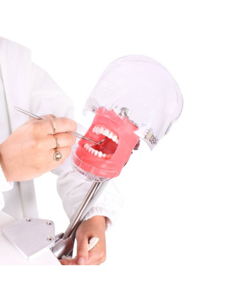 Fantoma Completo Simplicity Bader con Tipodonto tipo Nissin Adulto y Anclaje a Mesa