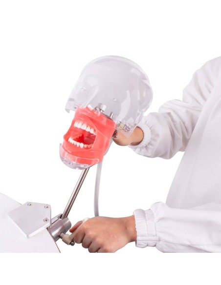 Fantoma Completo Simplicity Bader con Tipodonto tipo Nissin Adulto y Anclaje a Mesa