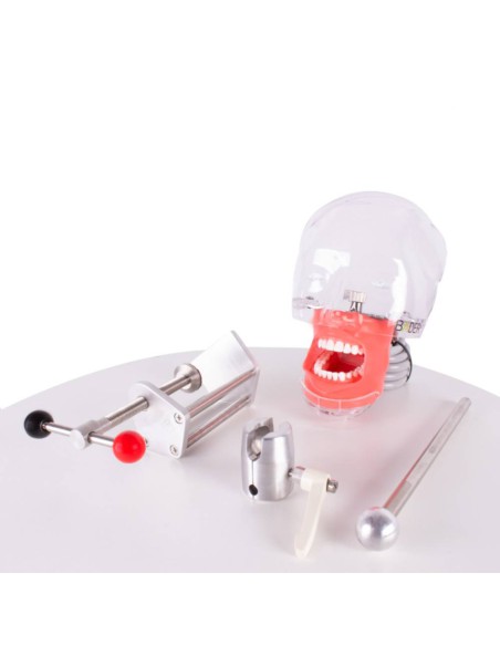 Fantoma Completo Simplicity Bader con Tipodonto tipo Nissin Adulto y Anclaje a Mesa