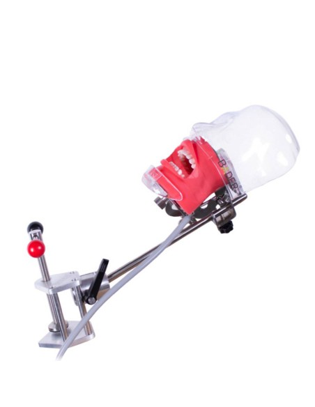 Fantoma Completo Simplicity Bader con Tipodonto tipo Nissin Adulto y Anclaje a Mesa