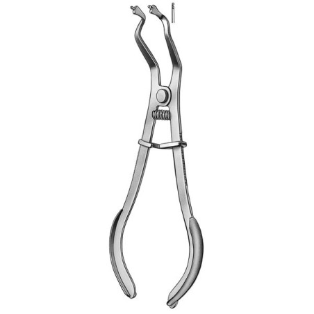 Porta Clamps Ivory de Carl Martin