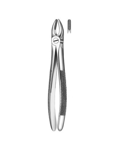 Forceps Incisivo/Canino Superior Carl Martin
