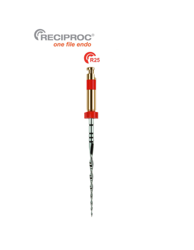 Limas reciproc R25 6 unidades de zipperer