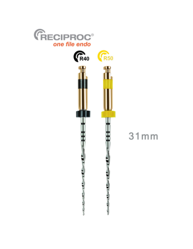 RECIPROC SDO (R40+R50) 31mm. 6u.