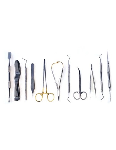 Set Instrumental Básico de Cirugía de Implantes