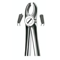 Forceps Molar Superior Izquierdo Nº 18