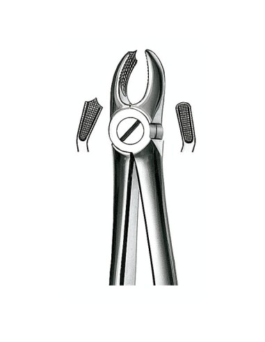 Forceps Molar Superior Izquierdo Nº 18