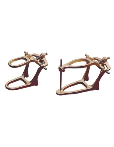 Articulador Funcional de Mestra