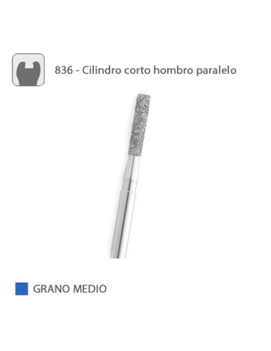Fresa Diamante Cilindro Corto Hombro Paralelo 836 Grano Medio FG