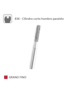 Fresa Diamante Cilindro Corto Hombro Paralelo 836 Grano Fino FG