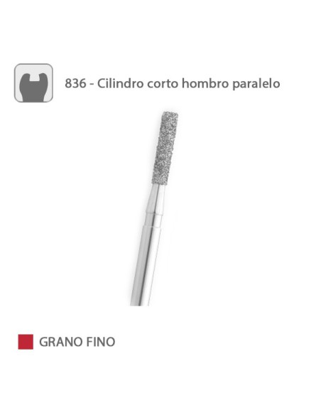 Fresa Diamante Cilindro Corto Hombro Paralelo 836 Grano Fino FG