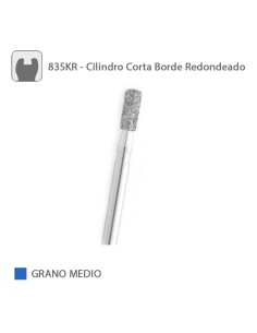 Fresa Diamante Cilindro Corta-Borde Redondeado 835KR Grano Medio FG