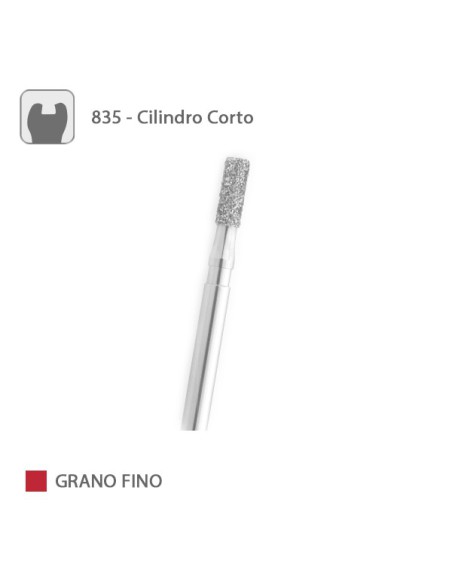 Fresa Diamante Cilindro Corto 835 Grano Fino FG