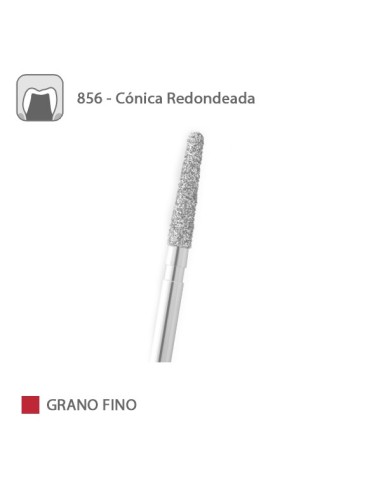 Fresa Diamante Cónica Redondeada 856 Grano Fino FG