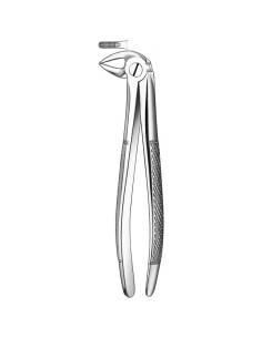 Fórceps para Raíces Inferiores 33 de Carl Martin