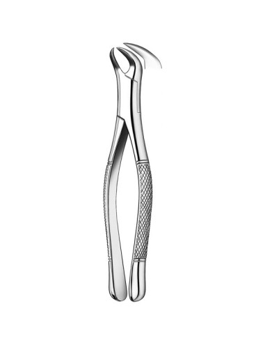 Forceps Molares Inferiores Forma Cuerno Vaca de Carl Martin
