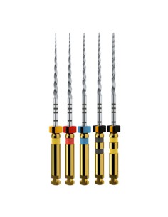 Protaper Next Lima 31mm 6unidades de Maillefer 2