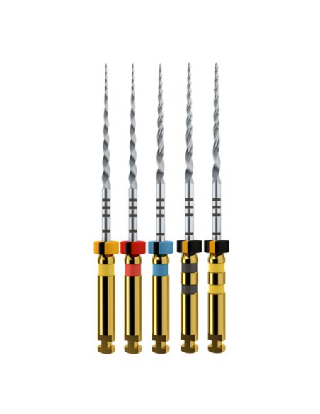 Protaper Next Lima Estéril 25mm. 6unidades