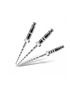 Protaper Retratamiento Limas 6u 2