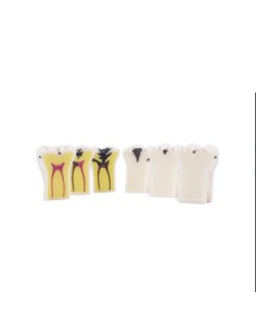 Modelo Caries Desmontables 3 Molares 2