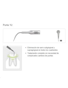 Set Puntas Piezo Universal para Tigon+, Tigon, Pyon 2 2