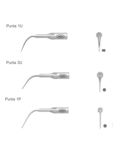 Set Puntas Piezo Universal para Tigon+, Tigon, Pyon 2