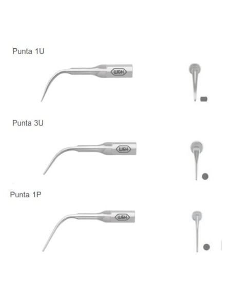 Set Puntas Piezo Universal para Tigon+, Tigon, Pyon 2