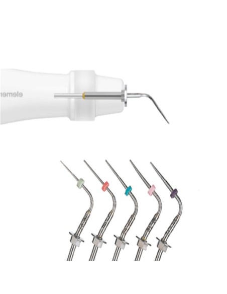 PUNTA SYSTEM B SDO. XF,F,FM,M,ML