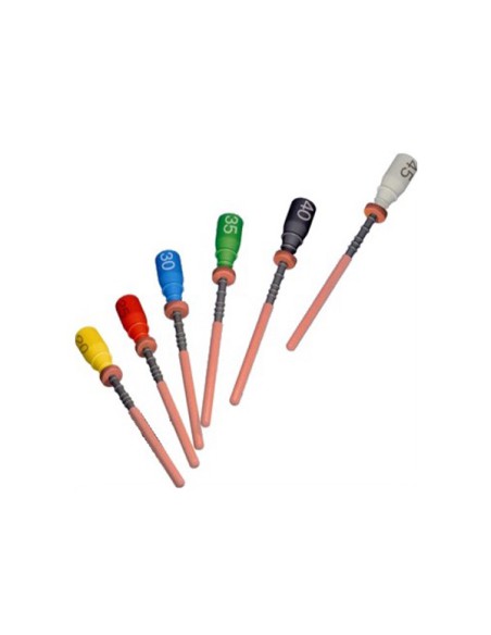 Soft-Core Classic Obturador 6u.