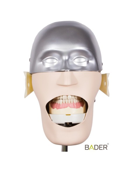 Tipodonto Clónico Frasaco ANA4