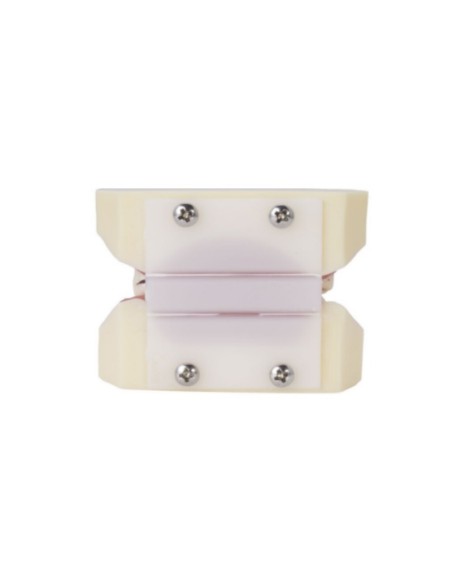 Tipodonto para Implantología Articulado