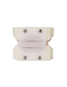 Tipodonto de Periodoncia 2