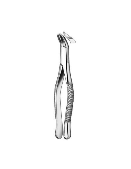 Forceps Physick Cordales Inferiores
